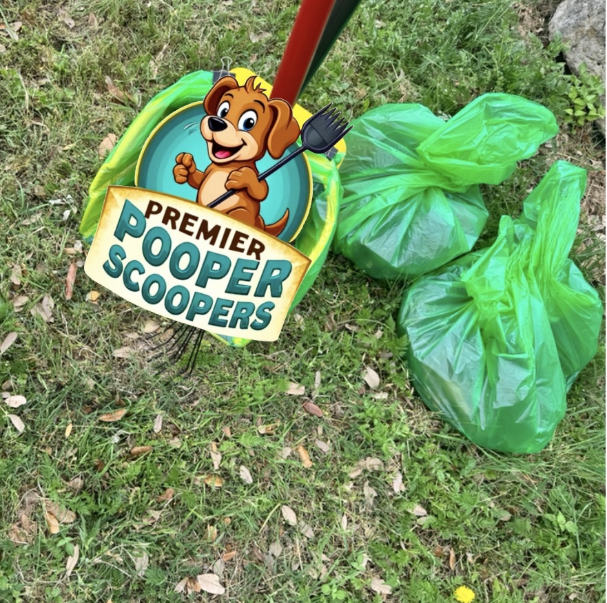 Clean up, Poop in green trash bags